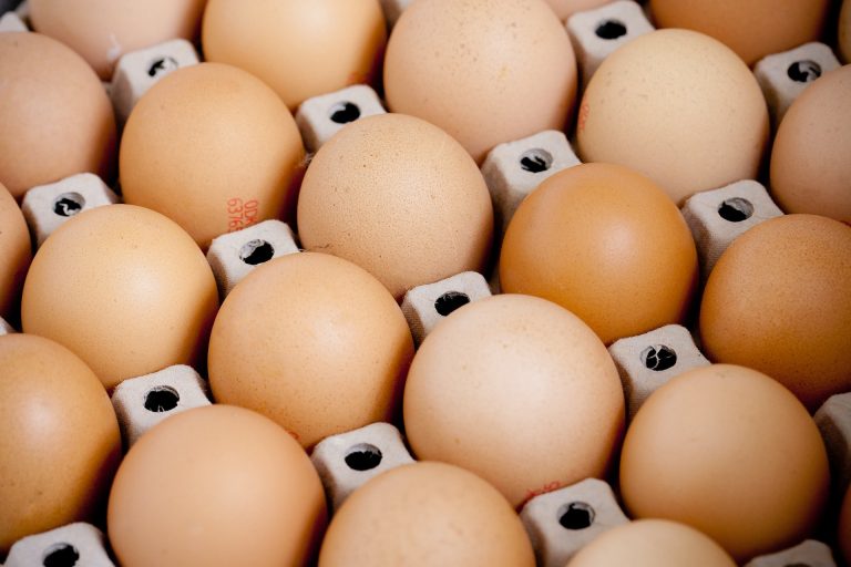 Gyermelyi Zrt. - Eierverarbeitungsbetrieb in Máriahalom / Gyermelyi Zrt. - Egg production plant in Máriahalom