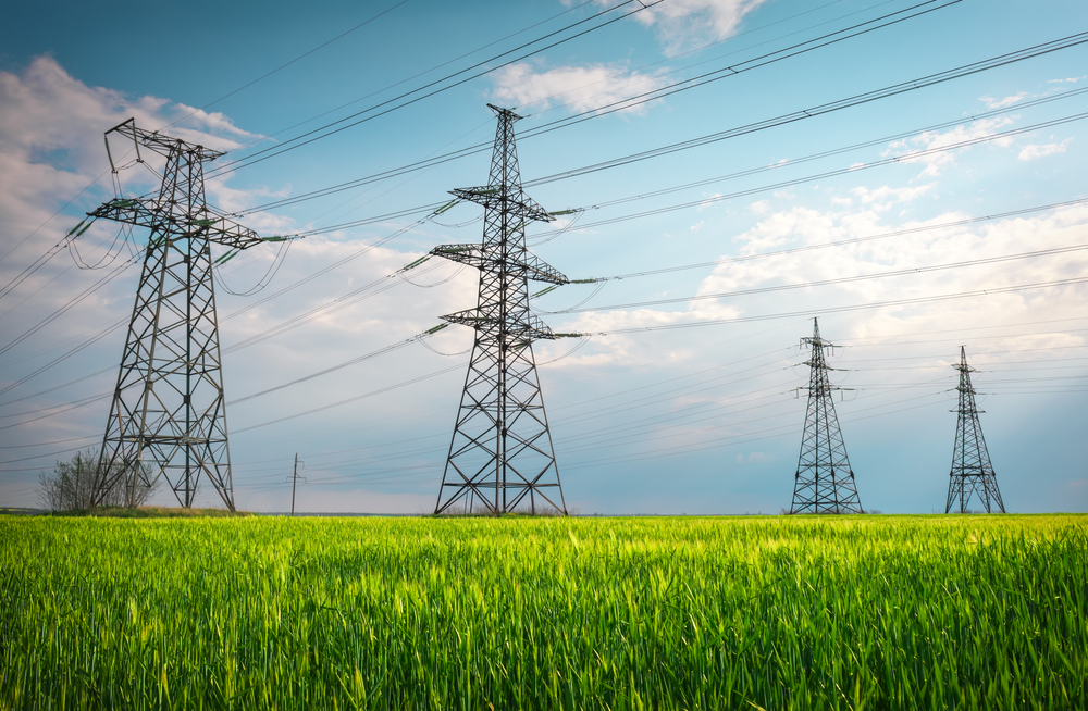 Forest-Vill Kft. – Record revenue in the energy sector
