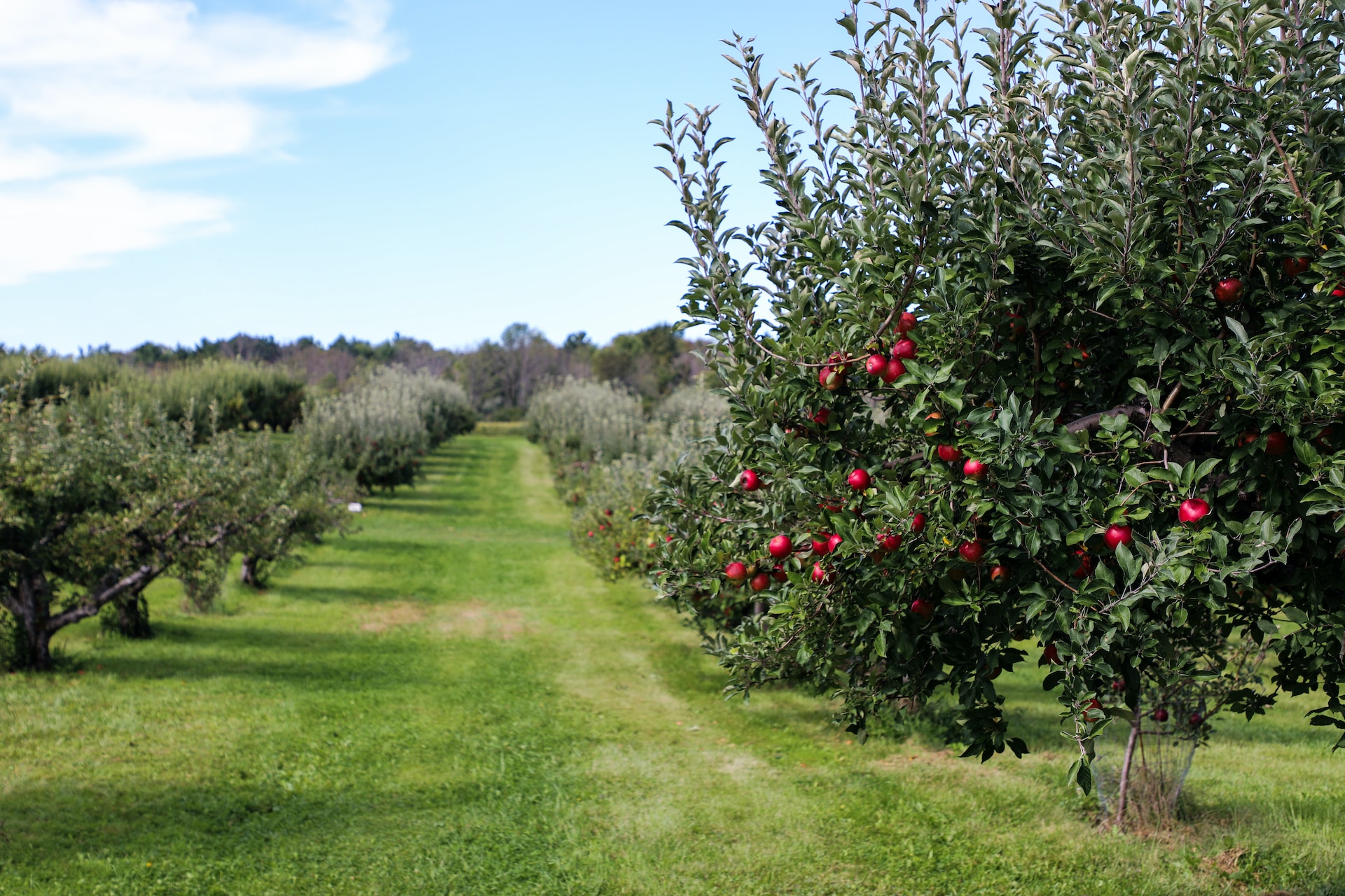 Talentis Agro Zrt. – Acquisition in Croatia